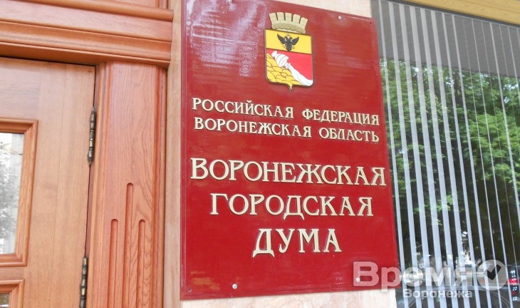 В Воронеже на ограждения школьных стадионов потратят 15 млн рублей