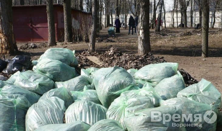 В Воронежской области скоро не останется свалок
