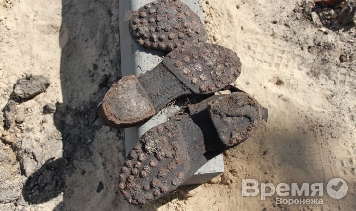 Под Воронежем венгры ищут останки бомбардировщика, сбитого в годы войны