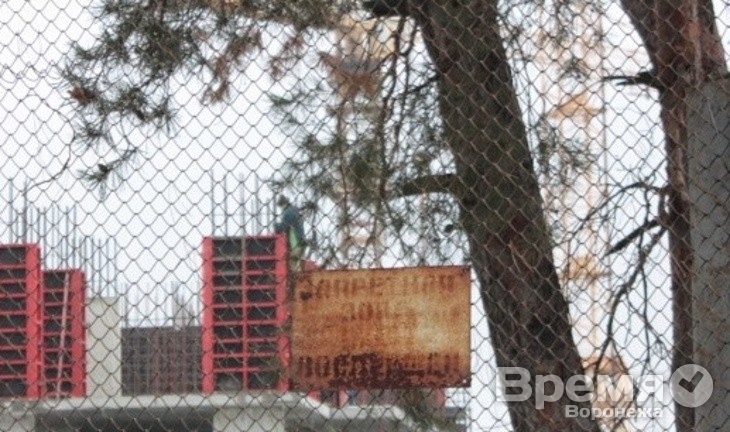 Воронежские риэлторы призывают не застраивать городские парки