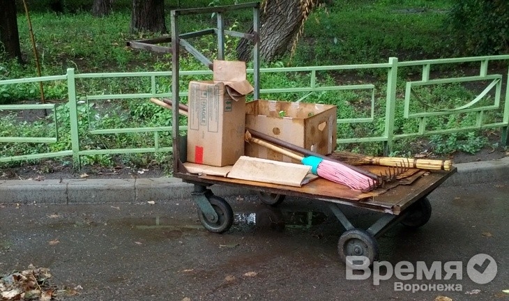 Воронежцев призывают сдать макулатуру и бутылки