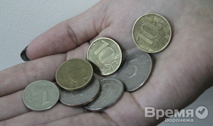 В Воронежской области прожиточный минимум вырос на 46 рублей