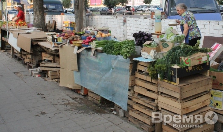 В Воронеже у жителей района поинтересуются, нужен ли им мини-рынок