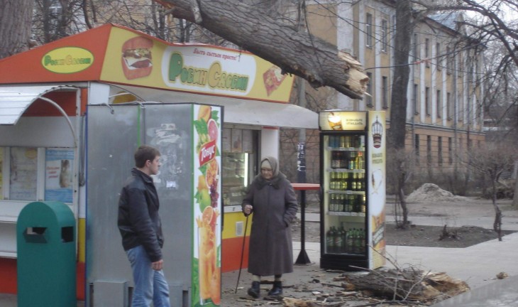 В районе СХИ дерево упало на торговый киоск