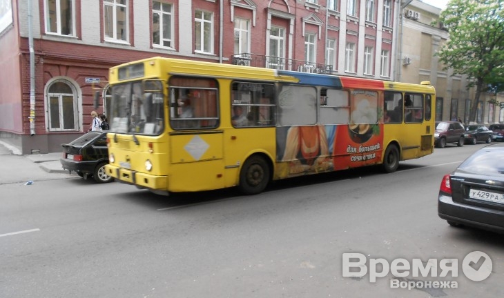 В Воронеже появится 50 новых автобусов «народного маршрута»