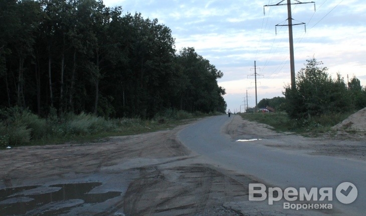 Чиновники объяснили воронежцам, почему необходимо расширение дороги в районе СХИ