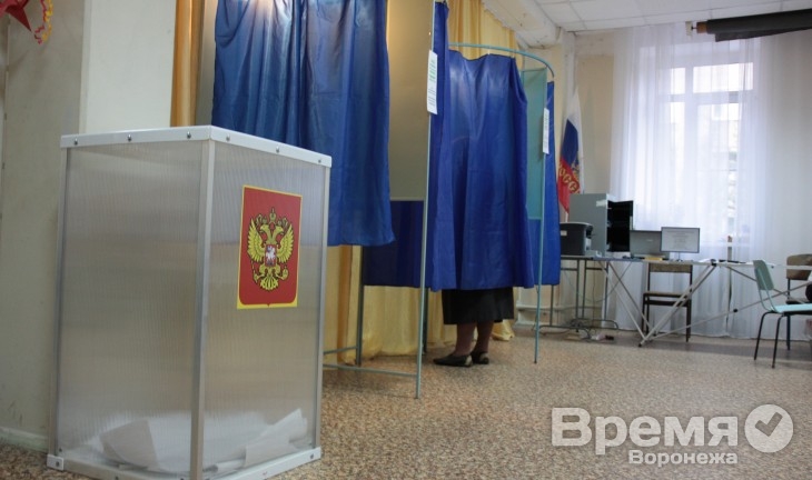 Воронежская область станет первым регионом, где применят новую схему выборов