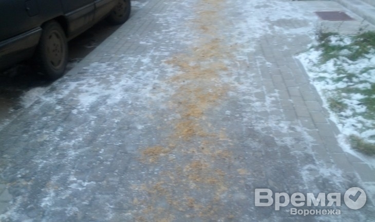 Воронежские коммунальщики приступили к очистке дорог от снега