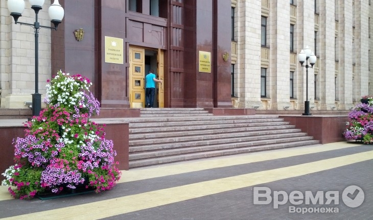 Резюме на вакансию замгубернатора Воронежской области больше не принимают