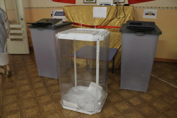 29,7% воронежцев досрочно проголосовали на выборах-2020