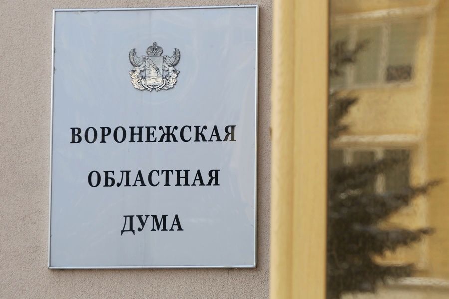 Воронежский депутат назвал выпады против него оппозиции беспочвенными