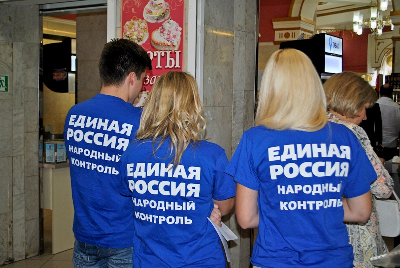 Воронежские единороссы денег на выборы не жалеют