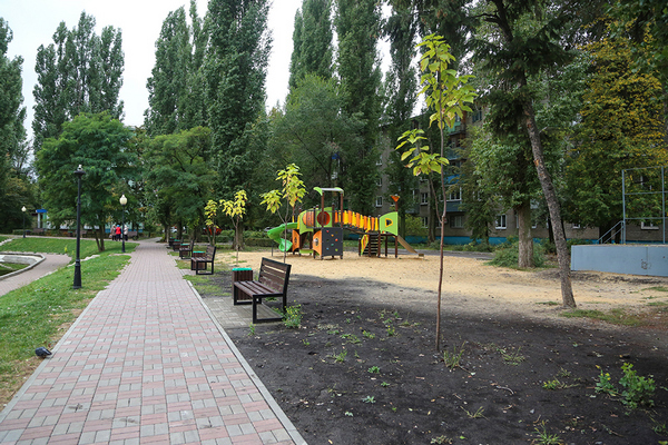 Вадим Кстенин: «Осенью мы сможем высадить 697 деревьев в 14 скверах и на 25 улицах Воронежа»