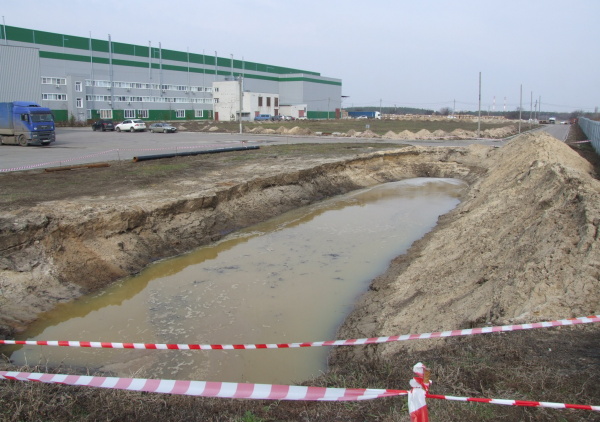 Московские экологи побывали на воронежском «токсичном озере» 