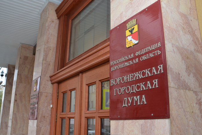 Воронежские депутаты начали мэрскую процедуру