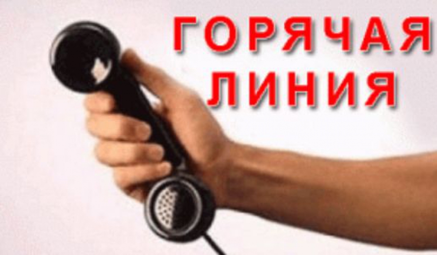 Роспотребнадзор проконсультирует воронежцев, которые планировали лететь в Египет 