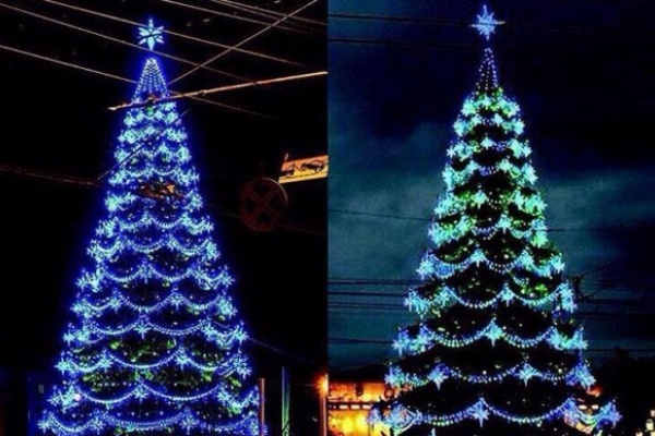 Воронежским властям опять припомнили новогоднюю елку