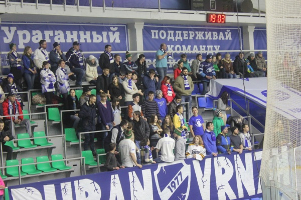 Воронежский хоккей будут содержать дорожники