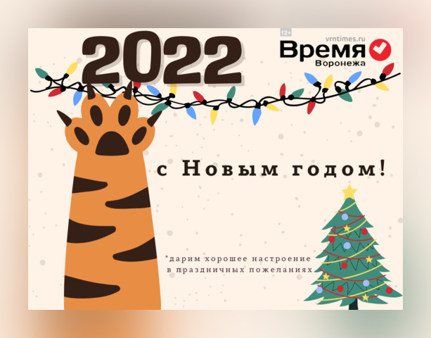 Редакция «Время Воронежа» поздравляет вас с Новым Годом