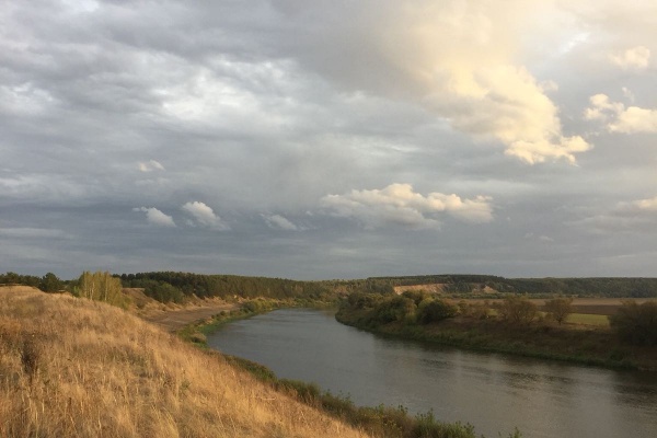 В Воронежской области снова ищут подрядчика на укрепление левого берега Дона 