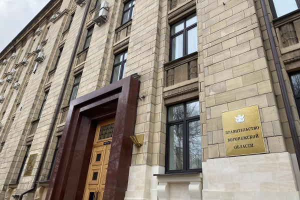 Чиновницу воронежского правительства обвинили в хищении 1,7 млн рублей