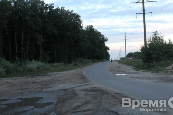 Леса в  пригородных зонах  Воронежской области отдадут  в аренду