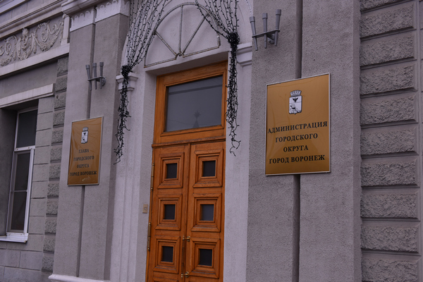 Воронежский мэр начал поиск бюджетных ресурсов