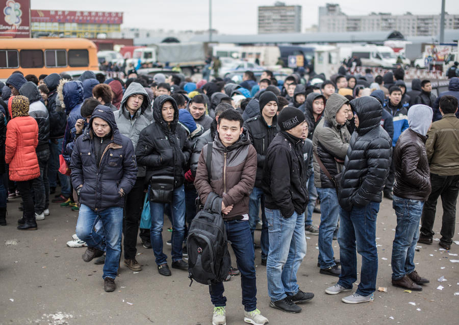 Воронежской области установили квоту на мигрантов