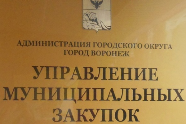 Воронежский мэр допустил закупки у единственного продавца из-за «острой необходимости»