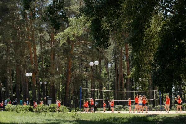 Вырубка деревьев в парке обошлась главе воронежской Анны в 150 тыс. рублей 