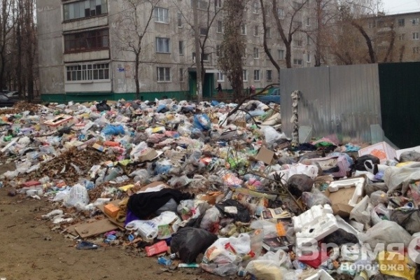 Воронежским жителям частного сектора придётся платить за свой мусор 