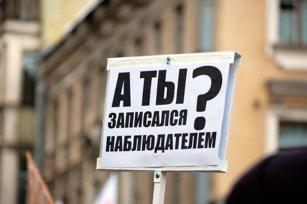 Количество наблюдателей на избирательных участках Воронежа могут ограничить 