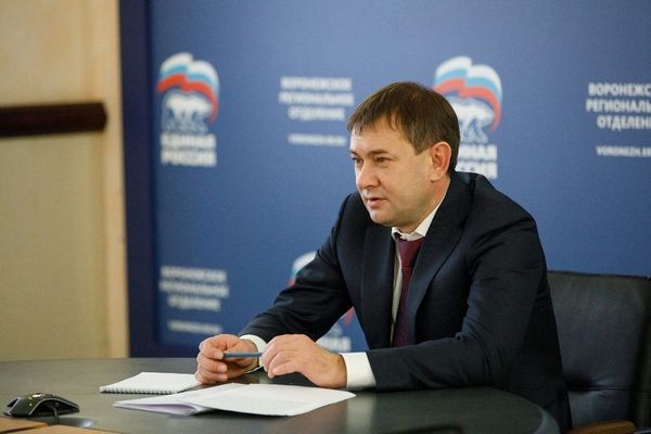 Владимир Нетесов помог воронежцам в решении социальных проблем