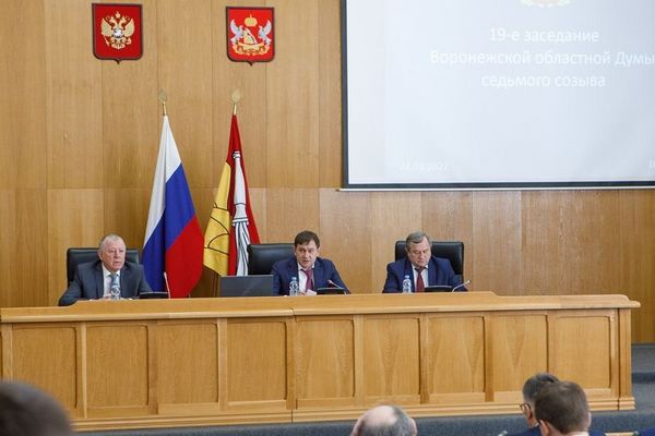 Воронежская областная Дума приняла несколько законов для развития экономики и социальной сферы