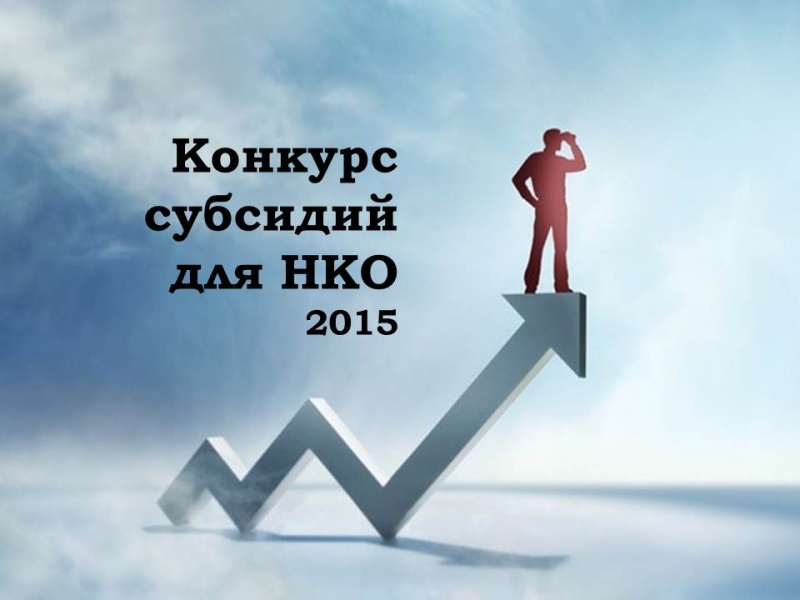 Воронежская область получит федеральные деньги на развитие НКО 