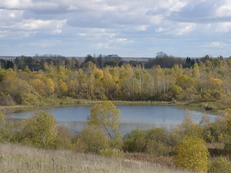В Воронеже еще несколько озер отдали в частную собственность