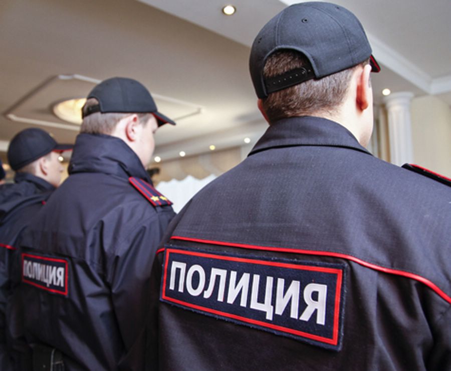 В Воронеже может появиться муниципальная полиция