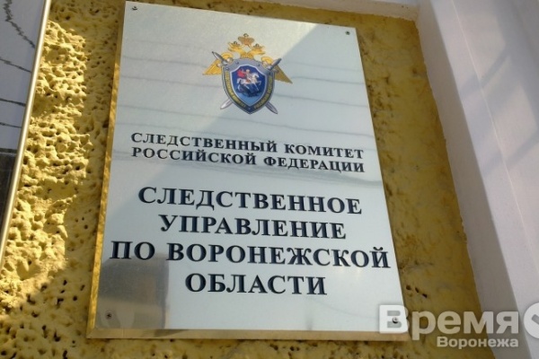 В воронежском следственном управлении началась проверка по делу Павла Пономарева
