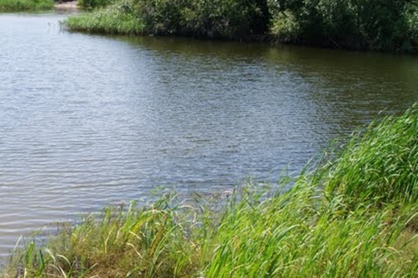 В Воронежской области пруд сдали в аренду как сельскохозяйственный участок 