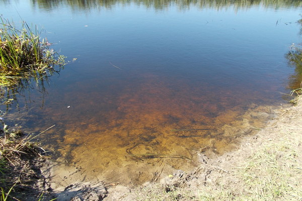 В Воронежской области завершили расчистку нескольких рек
