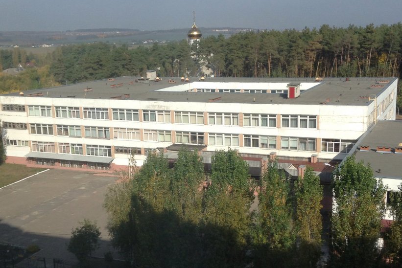 Власти выделят деньги на пристройку к школе рядом с жилкомплексом «Воронежстроя» в Тенистом