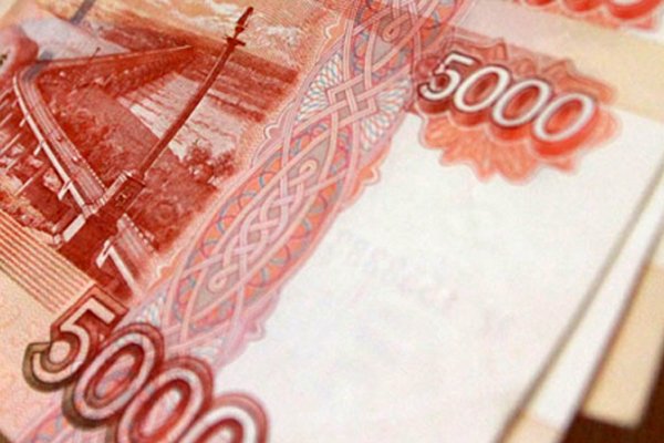 «Воронежская теплосеть» пополнит местную казну на пять тысяч рублей