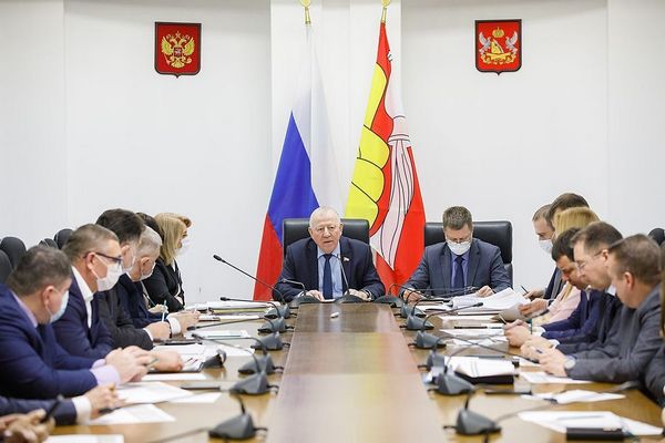 Депутаты Воронежской областной Думы обсудили реализацию региональной адресной инвестпрограммы