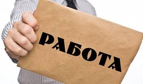Воронежская служба занятости населения стала работать быстрее 