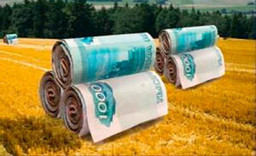 Воронежская область стала второй в России по агрострахованию 