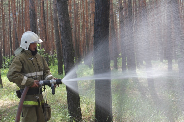 В Воронежской области введен особый противопожарный режим