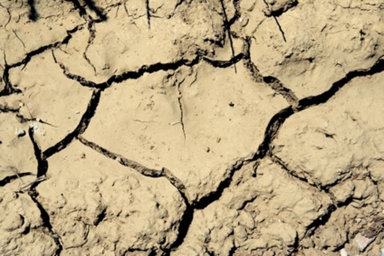 Воронежские ученые сделали воду твердой