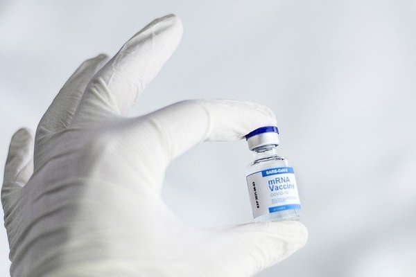 Воронежское правительство подтвердило «временные сложности» с количеством вакцины от Covid-19