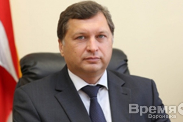 Воронежский глава управления образования вышел на работу