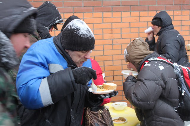 Волонтеры призывают воронежцев покормить под Новый год бездомных 